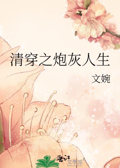 清穿之炮灰四福晋