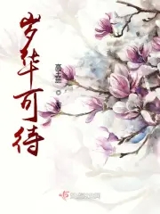 岁华年