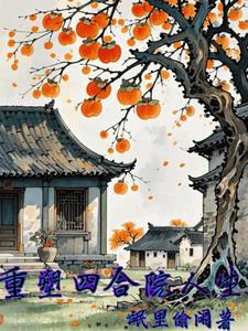 重回四合院小说