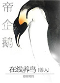 帝企鹅在线养鸟读零零
